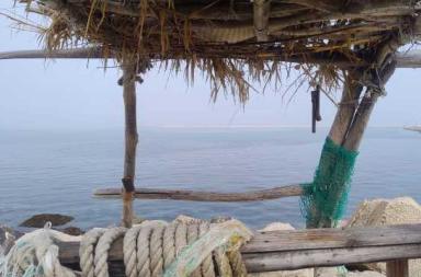 La foto del giorno del 5 marzo 2026