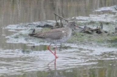 La foto del giorno 22 marzo 2026