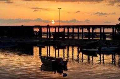 La foto del giorno del 30 marzo 2026