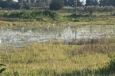 La foto del giorno del 31 marzo 2026