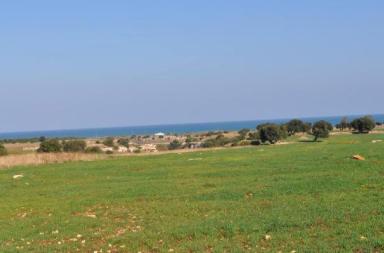 Dune costiere, c'&egrave; il progetto di un resort a 5 stelle: l'area di oltre 140 ettari venduta a un immobiliarista romano