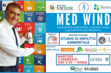 Madre Terra - Med Wind: presentazione Studio di Impatto Ambientale