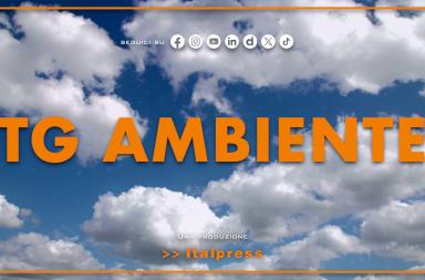 Tg Ambiente - 1/3/2026