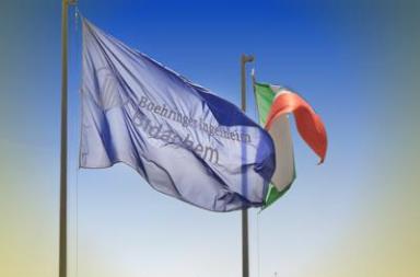 Boehringer Ingelheim, Sara Frattini alla guida di Bidachem Spa