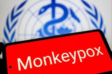Vaiolo delle scimmie, Oms: "Mpox continua a circolare, a novembre 2.150 casi e 5 morti"