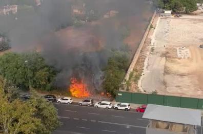 Bari, a fuoco gli alberi in via Falcone e Borsellino, nei pressi dell'ex casermette