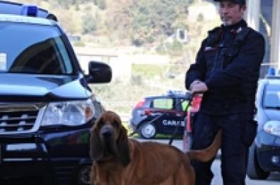Peschici, scattano le ricerche con i cani molecolari per il 47 scomparso