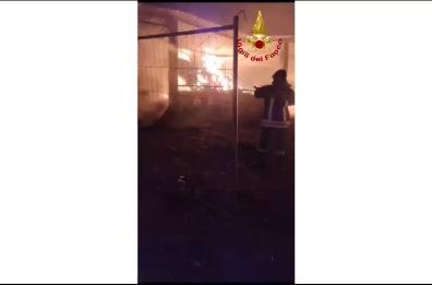 Incendio in un'azienda agricola nel Salento, morti 18 tra agnelli e pecore