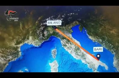 Da Bari a Milano con 25kg di marijuana «amnesia»: scoperta dai carabinieri