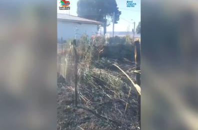 Manfredonia, grosso incendio doloso scoppia in oasi protetta: danneggiata nuova passerella per disabili