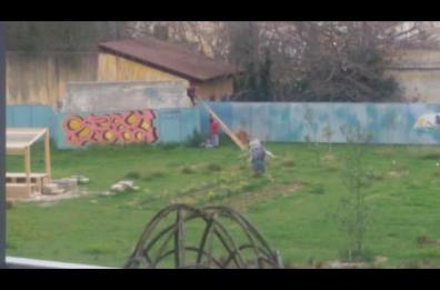Bari, video denuncia di un cittadino inchioda ladri vandali nel parco Gargasole