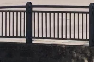 Sassaiola tra tifosi del Nocerina e del Foggia: il video