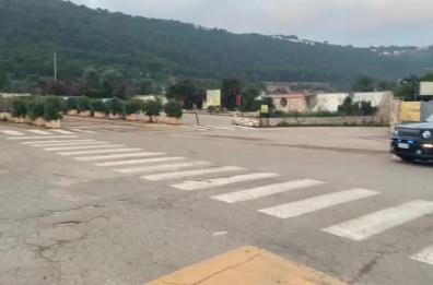 Rapina tra la folla allo Zoosafari di Fasano: arrestati dopo due anni