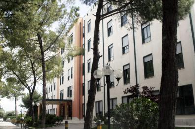 Foggia, una mostra di bambole realizzata da ex paziente ortofrenica