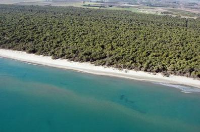 Ambiente, sopralluogo assessore Basilicata su spiagge del Metapontino 