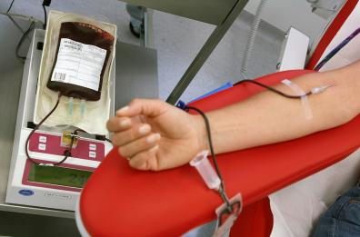 Puglia, è allarme raccolta sangue: calano anche i donatori per il Covid