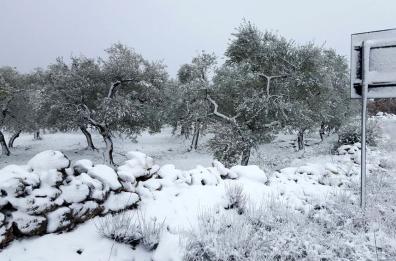 Basilicata, neve e ghiaccio: domani scuole chiuse in 37 città