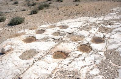 Altamura, sulle orme dei dinosauri: la cava apre dal 17 al 19 ottobre