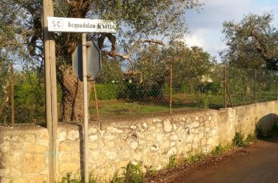La medaglia dell'aviere barese morto nel 1967