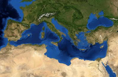 Il Mediterraneo sempre più bollente: moria di gorgonie e alghe coralline. Il cemento mangia le coste