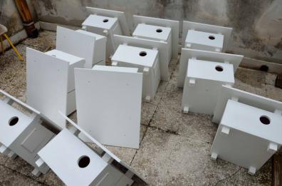 Nuovi nidi
per falchi grillai
ecco 75 casette