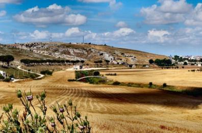 Welfare territoriale
Master in Basilicata