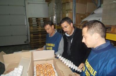 La forestale sequestra
80mila uova in Puglia