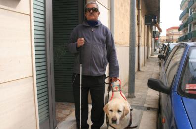 Strisce pedonali sbiadite
e i cani per ciechi vanno in tilt