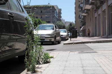 Lecce, spaccata in negozio
svaligiato in quattro minuti