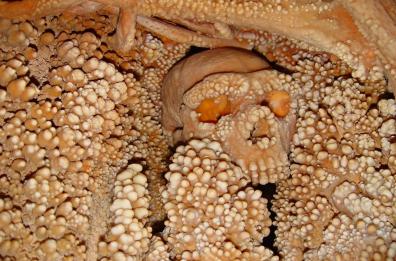 L'Uomo di Altamura ha un volto
con tanto di capelli, barba e baffi
