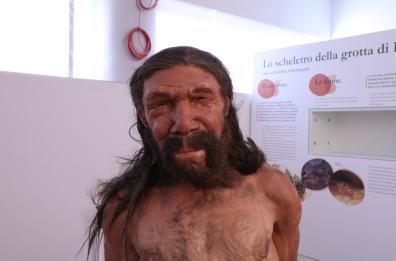 Ecco una «app» per visitare il Museo di Altamura: il tour virtuale
