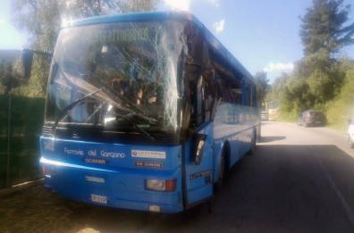Vieste, autobus contro camion: 13 feriti lievi
