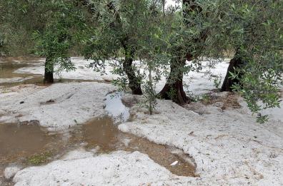 Maltempo, Pd scrive a Conte «Date stato di calamità per area jonica»