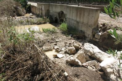 Trovato cadavere in campagne
nord Barese, era in un bidone