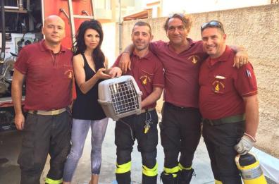 Micetta incastrata nel motore
Vigili del fuoco la salvano