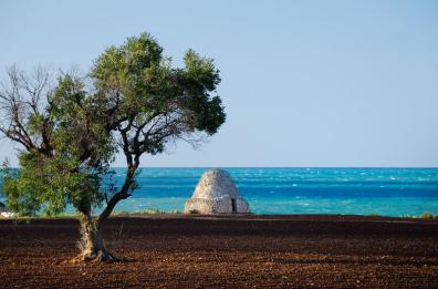 «Il segreto della Puglia? 
È nel passaparola»