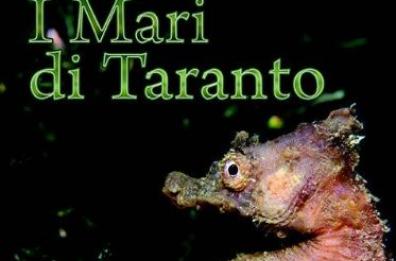 Tra i fondali tarantini
Lunedì la presentazione