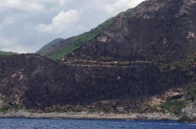 Lo «sfregio» dei piromani
alla costa di Maratea
