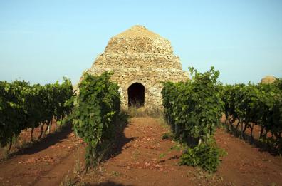 Eventi a Manduria ed Alberobello
a Cagnano Varano e a Mottola