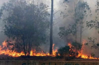 Divampa incendio a Ugento in località Torre Mozza