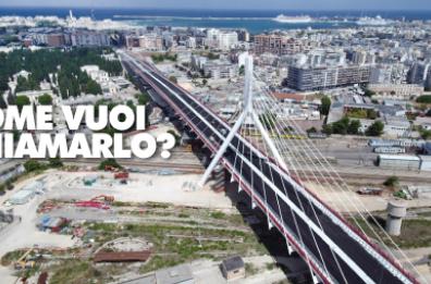 Bari, spunta Harambe
per il nome al superponte