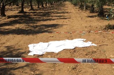 Omicidio boss Raduano, chieste due condanne a 18 anni per agguato a Vieste