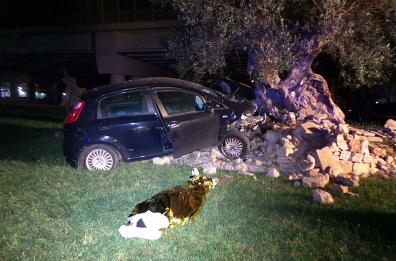 Si schianta contro ulivo
muore 36enne di Mesagne