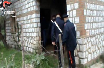 Coltivazione di marijuana
sette arresti nel Foggiano
