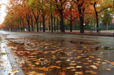 Autunno instabile
e torna la pioggia