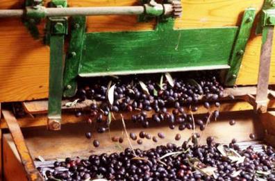 Vini con «Dolce Puglia» a Turi e Girolio a Ferrandina