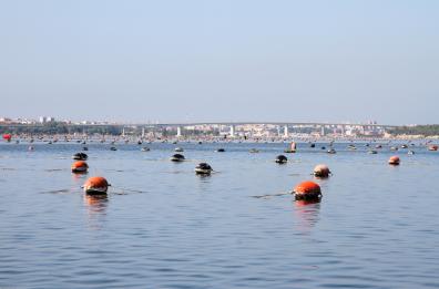 Taranto, 40 mln di fondi
per Mar Piccolo e Tamburi