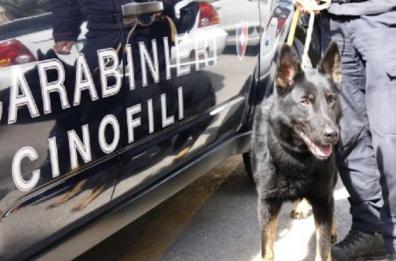 Bari, traffico di droga e armi: 
17 arresti nel clan Velluto