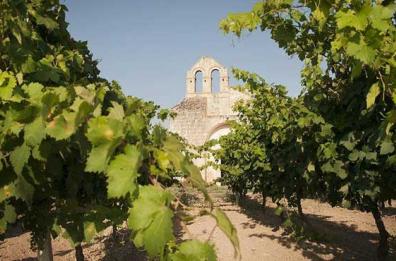 Wine Spectator ha incoronato solo il vino Primitivo di Manduria