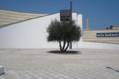 Polizia ambientale
nuova sede a Barletta